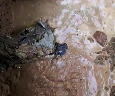 雨污水管道查漏